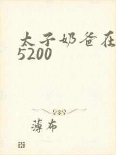 太子奶爸在花都5200