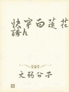 快穿白莲花的引诱h