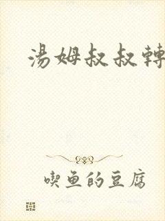 汤姆叔叔转接口