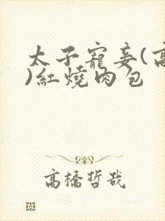 太子宠妾(高肉)红烧肉包