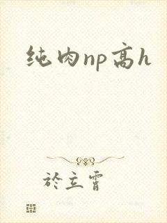 纯肉np高h
