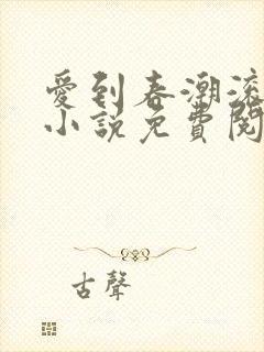 爱到春潮滚滚来小说免费阅读