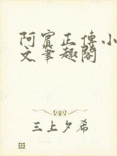 阿宾正传小说全文笔趣阁