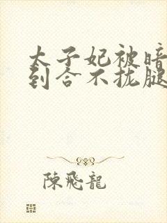 太子妃被暗卫C到合不拢腿