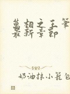 万相之王笔趣阁最新章节