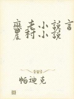 恋老小说言情网农村小说