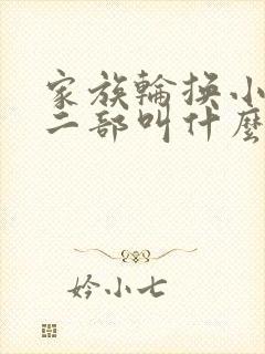 家族轮换小说第二部叫什么名字