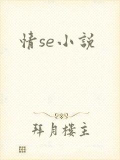 情se小说