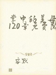 掌中的美母版主120章免费阅读