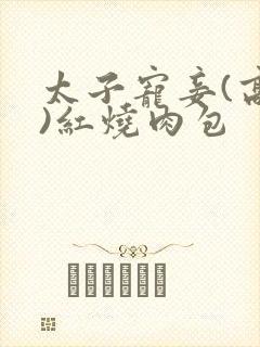 太子宠妾(高肉)红烧肉包