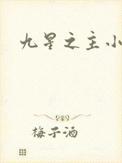 九星之主小说