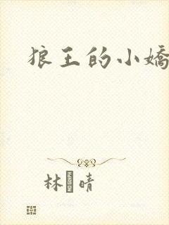 狼王的小娇妻