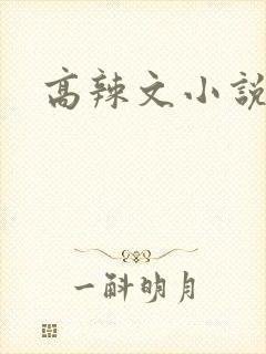高辣文小说