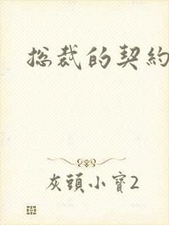 总裁的契约情人