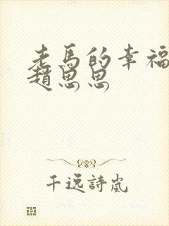 老马的幸福生活赵思思