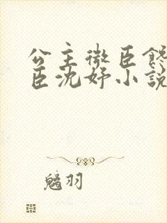 公主微臣馋了微臣沈妤小说