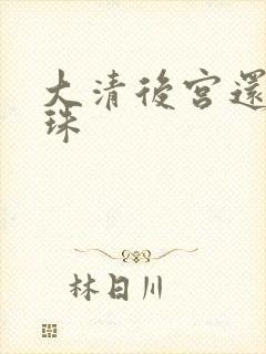 大清后宫还君明珠