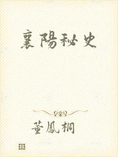 襄阳秘史