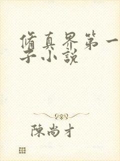 修真界第一病秧子小说