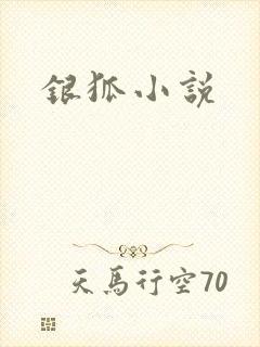 银狐小说
