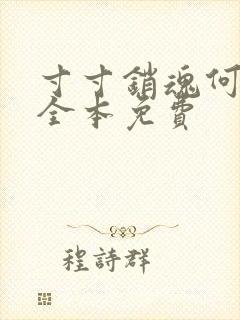 寸寸销魂何生祥全本免费