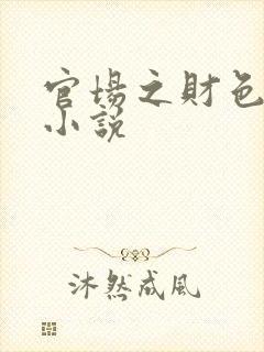 官场之财色诱人小说