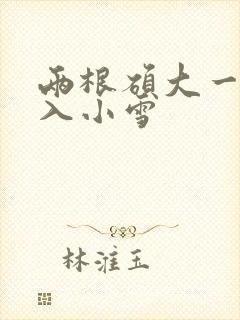 两根硕大一起挤入小雪