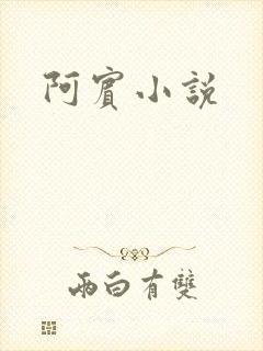 阿宾小说