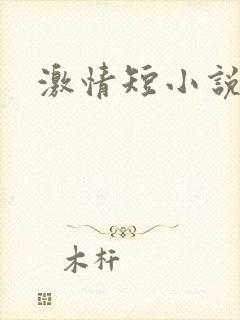 激情短小说
