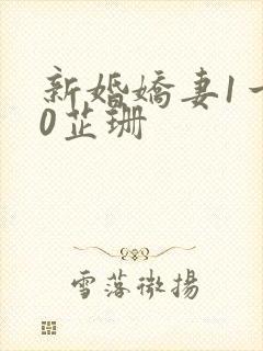 新婚娇妻1一40芷珊