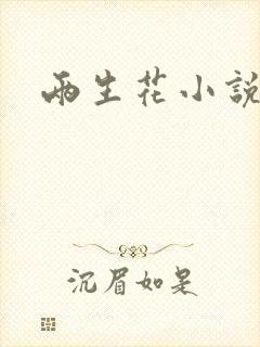 两生花小说