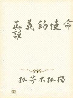 正义的使命 小说