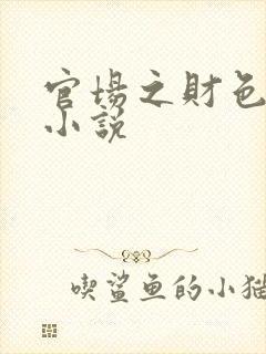 官场之财色诱人小说