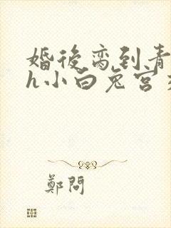 婚后脔到青梅哭h小白兔宫交h