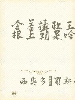 含着摄政王的紫根上朝是啥小说