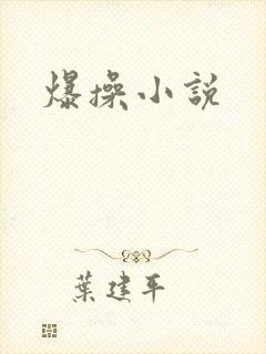 爆操小说