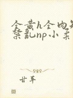全黄h全肉短篇禁乱np小柔