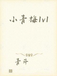 小青梅1v1