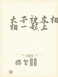 太子被左相和右相一起上