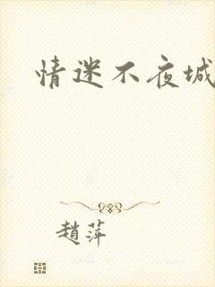 情迷不夜城