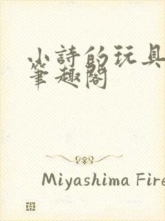 小诗的玩具日记笔趣阁