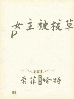 女主被校草们NP