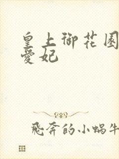 皇上御花园中要爱妃