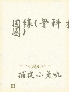 因缘(骨科 校园)