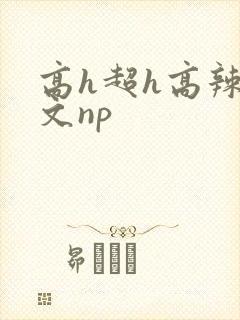 高h超h高辣h文np