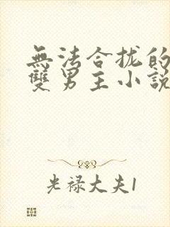 无法合拢的总裁双男主小说