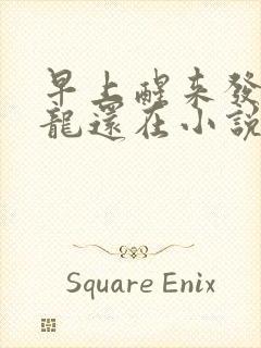 早上醒来发现巨龙还在小说