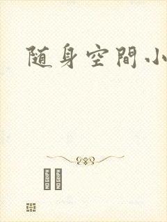 随身空间小说