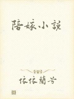 陪嫁小说