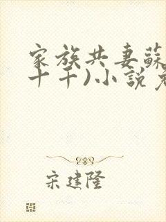 家族共妻苏苏(十千)小说免费